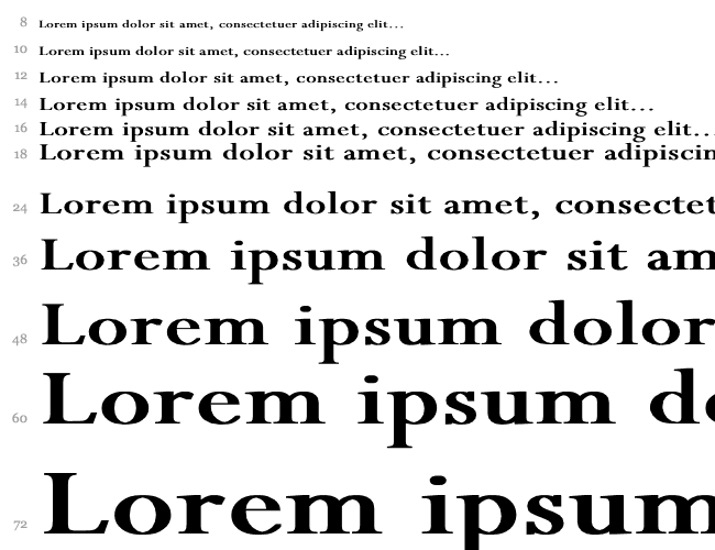 Perpetua Wd Bold Cascade 