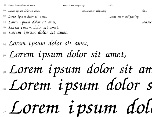 zapfchancery-Thin-Italic Cascata 