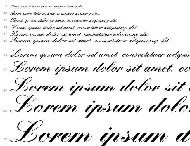 Quill Script Black SSi Водопад 