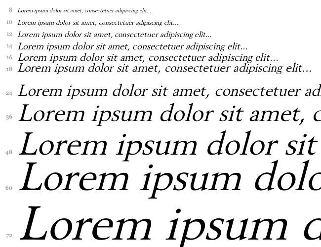 Revive OV italic Cascada 