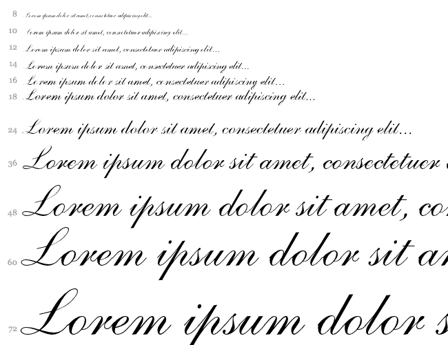 Shelley Andante Script Cascada 