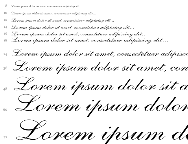 Shelley-AllegroScript Wd Waterfall 