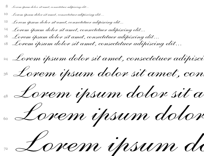 Shelley-AndanteScript Wd Cascada 