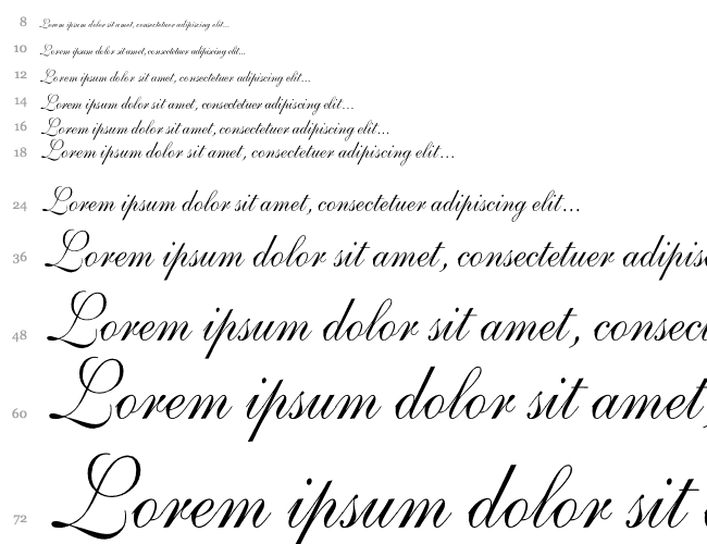 Shelley-VolanteScript Th Cascata 