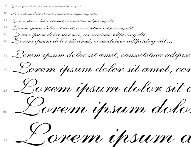 Shelley-VolanteScript Wd Cascade 