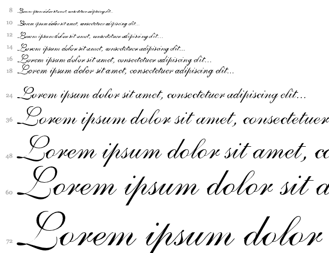 Shelley Volante Script Cascata 