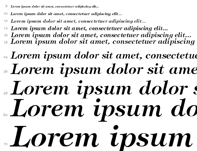 Stephanie Bold Italic Cascade 