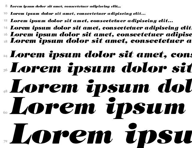 Stephanie Heavy Italic Cascata 