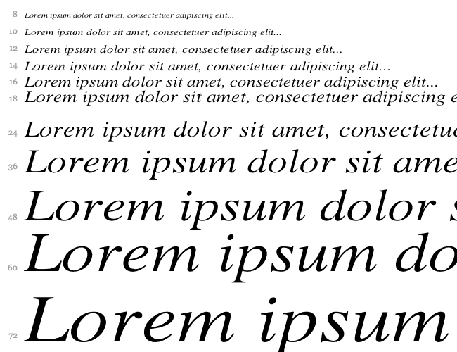 Xerox Serif Wide Cascada 