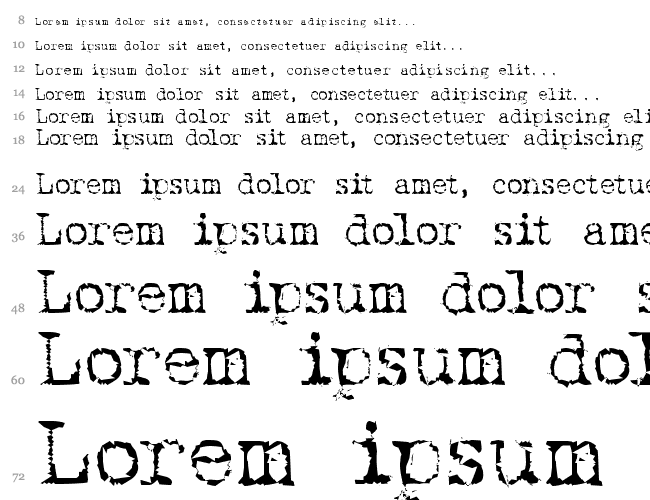 Typewriter New Roman Водопад 