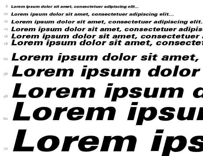 Univers-Black-Italic Wd Cascade 