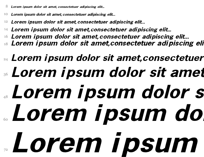 Abell Italic Cascade 