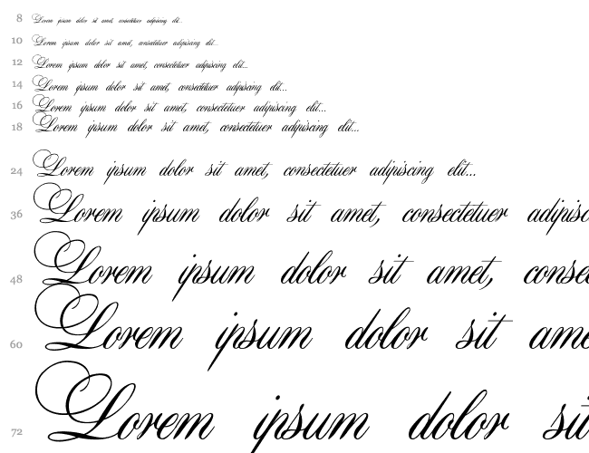 Aurora Script Cascata 