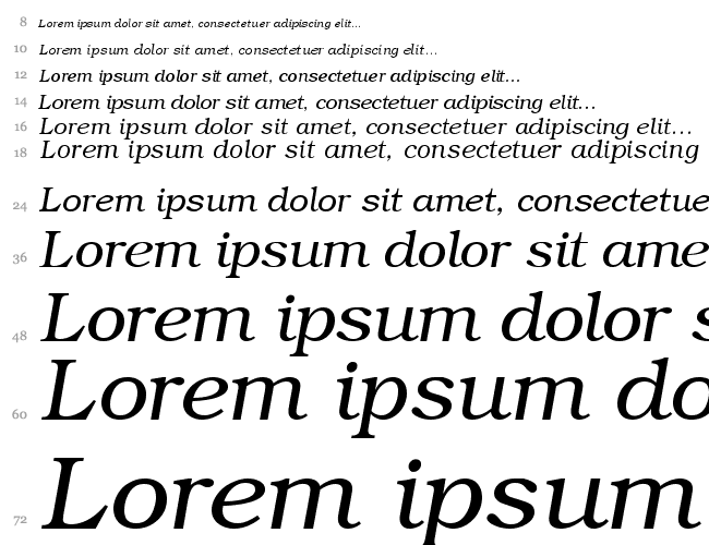 ER Bukinist KOI-8 Водопад 