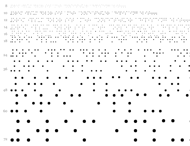 BrailleSH Cascade 