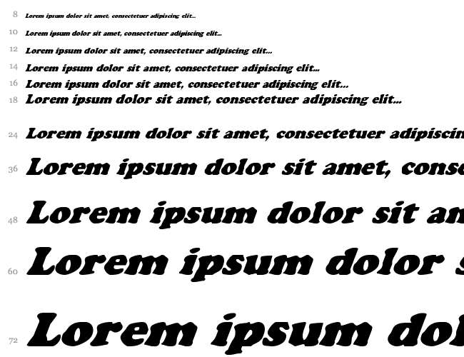 Charlemagne Condensed Italic Cascada 