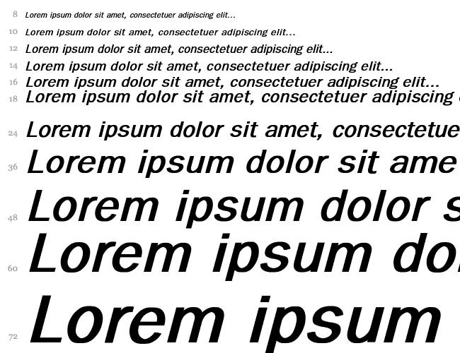 Eluthera Bold Italic Cascade 