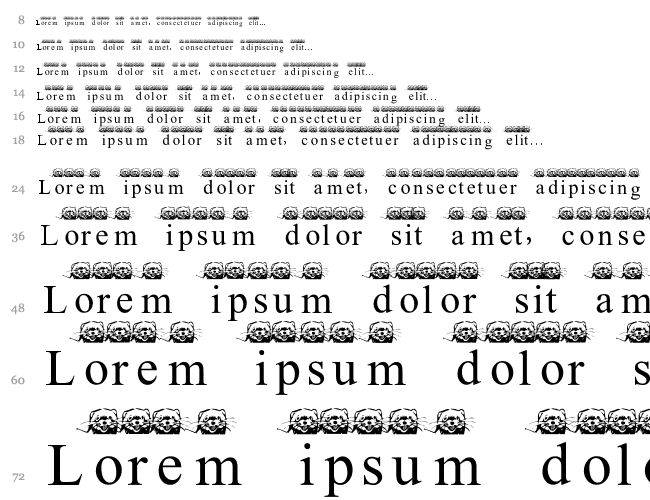 FerretsRTopsLowercase Cascade 