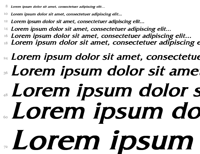 Fitzgerald Bold Italic Waterfall 