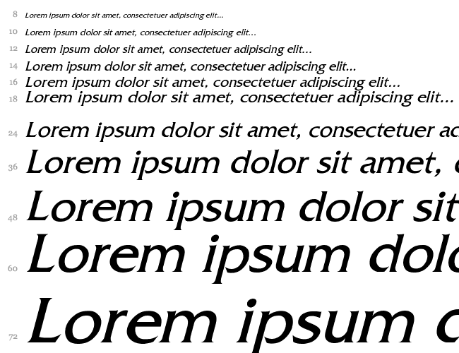 Fitzgerald Italic Cascada 