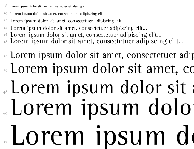 Leftist Mono Serif Wasserfall 