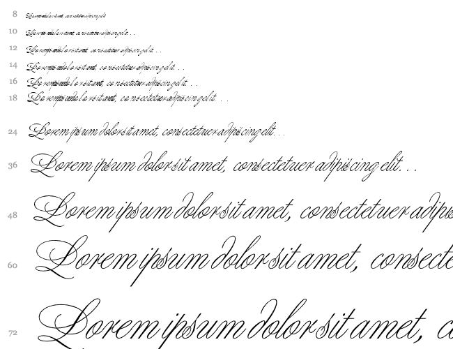 Margarita script Waterfall 
