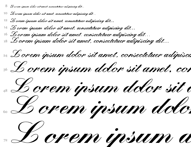 QuillScriptBlackSSK Cascada 